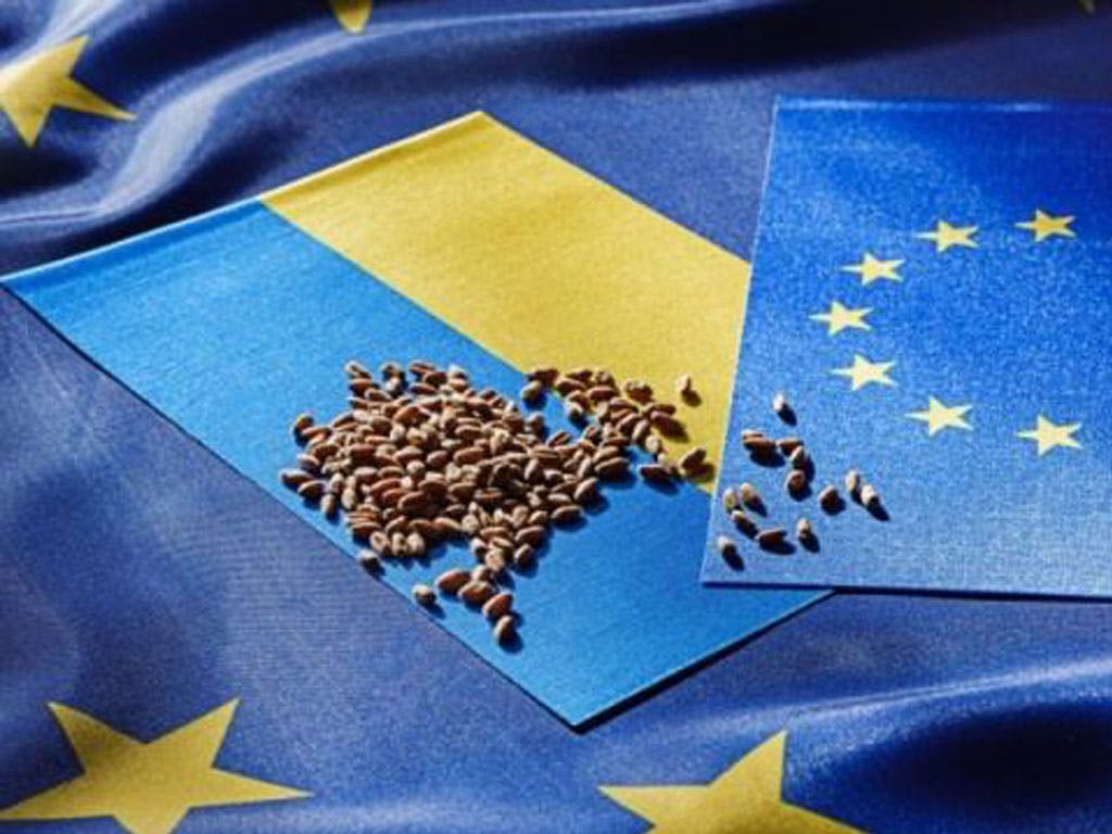 EU Trade Restrictions to Cost Ukraine Hundreds of Millions of Euros, Reports Say