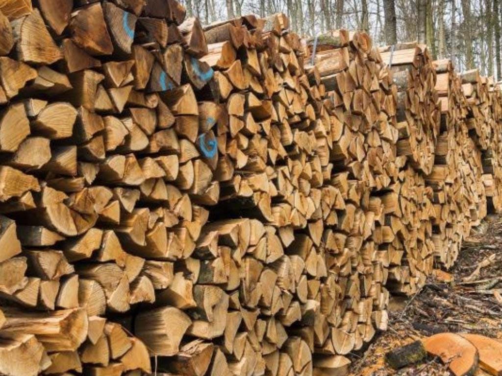 Poland's Alleged Role in Circumventing EU Sanctions on Belarusian Timber: An Investigation